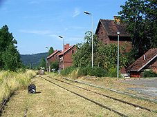 min 124 7.jpg
